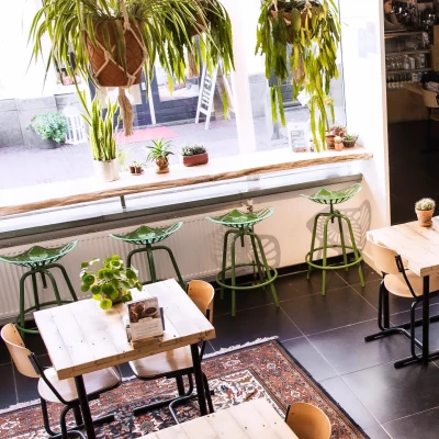 Lunchcafé curcuma