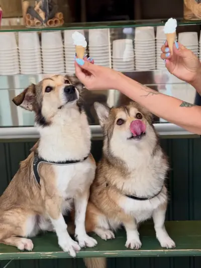 Scoops