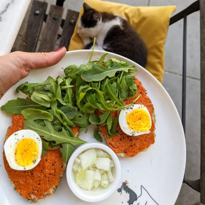 Kattencafé Balthazar